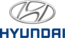 Hyundai - Right Sleeve
